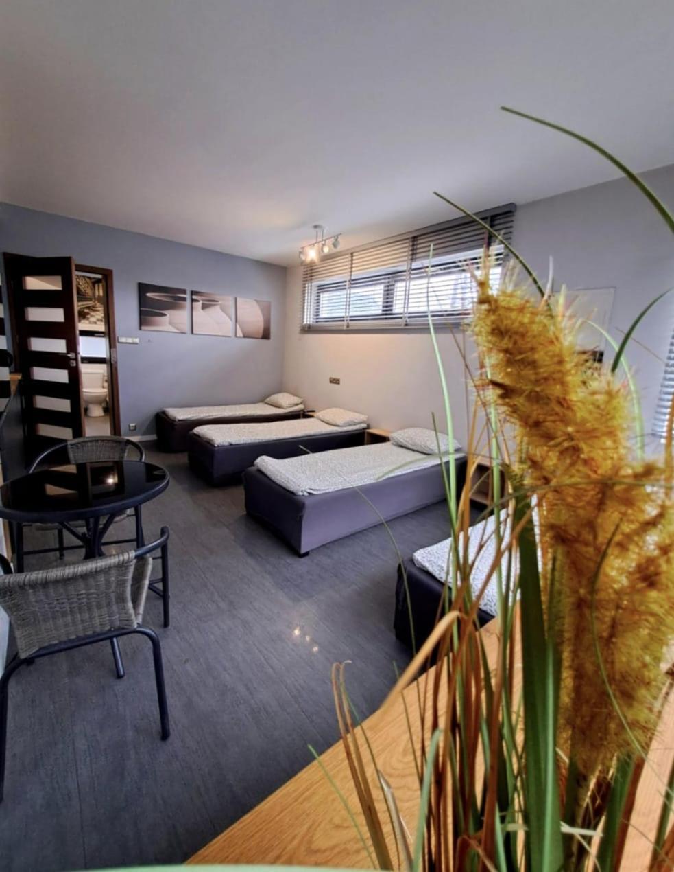 Apartament Studio Piano Płock Εξωτερικό φωτογραφία