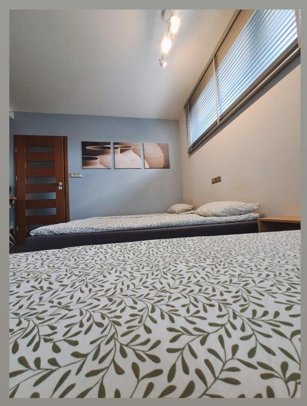 Apartament Studio Piano Płock Εξωτερικό φωτογραφία